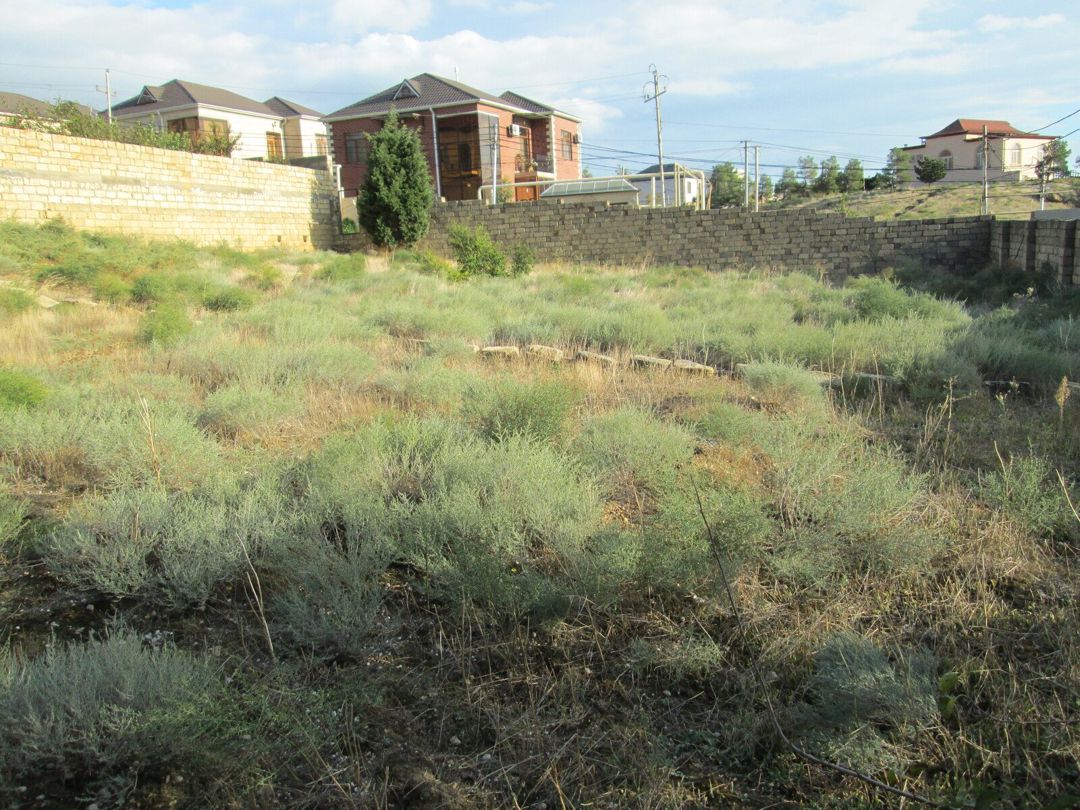 Satılır torpaq 9 sot — Torpaq, Bakı (6)