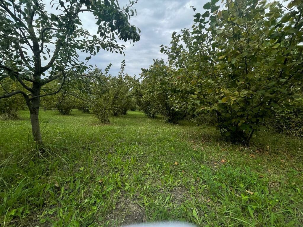 24 sot torpaq sahəsi, Qusar r — Torpaq, Qusar (2)