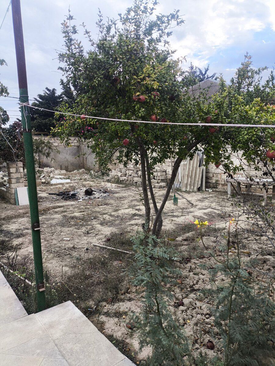 2 sot torpaq sahəsi, Buzovna qəs — Torpaq, Bakı (5)