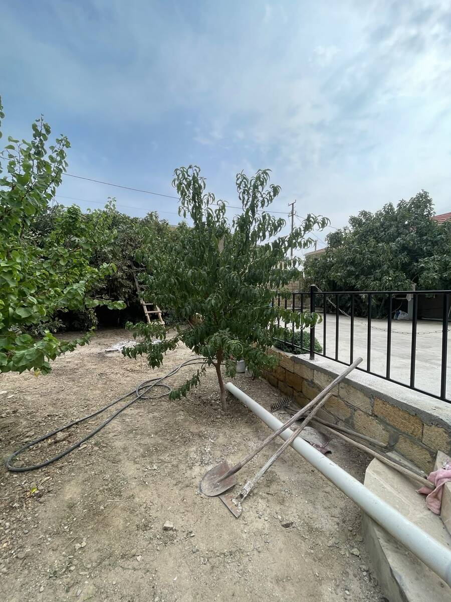 Satılır 3 otaqlı həyət evi/bağ evi 120 m² — Ev, villa, Bakı (10)