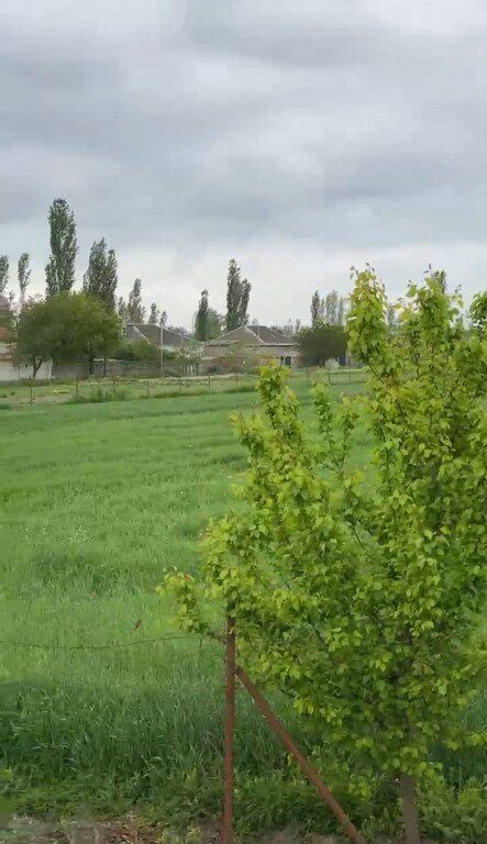 Satılır torpaq 2000 sot — Torpaq, Xaçmaz (9)