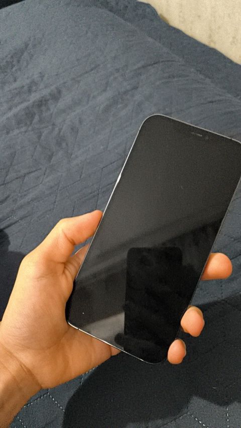 Apple iPhone 12 Pro Max Graphite 256GB/6GB — Bakı