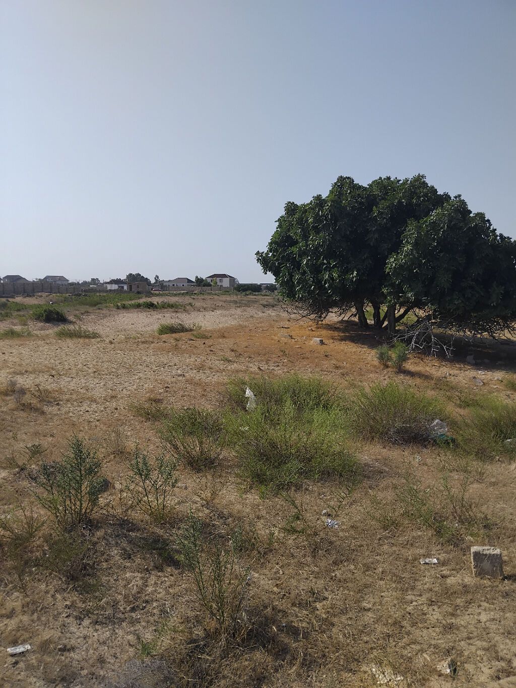 Turkan qes.Qizilqumda.denizden 180 metr arali.Denize panarama goruntu — Torpaq, Bakı (3)