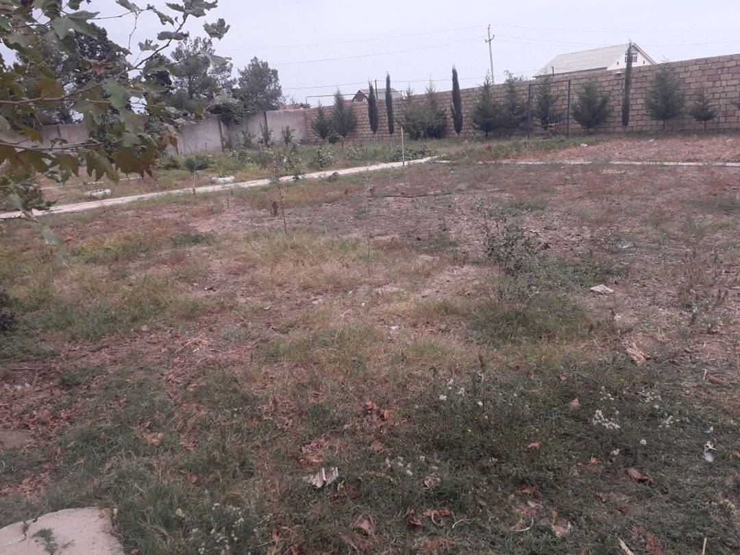 Satılır torpaq 23 sot — Torpaq, Bakı (3)