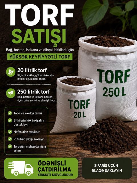 Torf — Bakı