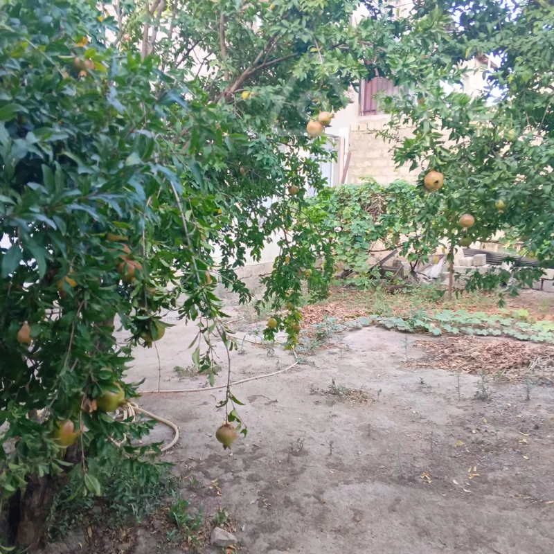 1 otaqlı həyət evi, 55 m², Yahya Hüseynov 33 — kirayə — Ev, villa, Bakı (5)
