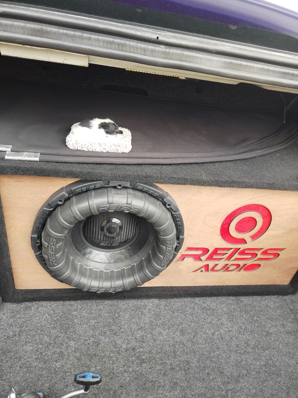Reıss Audio subwoofer sistemi – baqaj üçün güclü bas həlli. 1500.1 — Avtomobil akustikası, Digah (2)