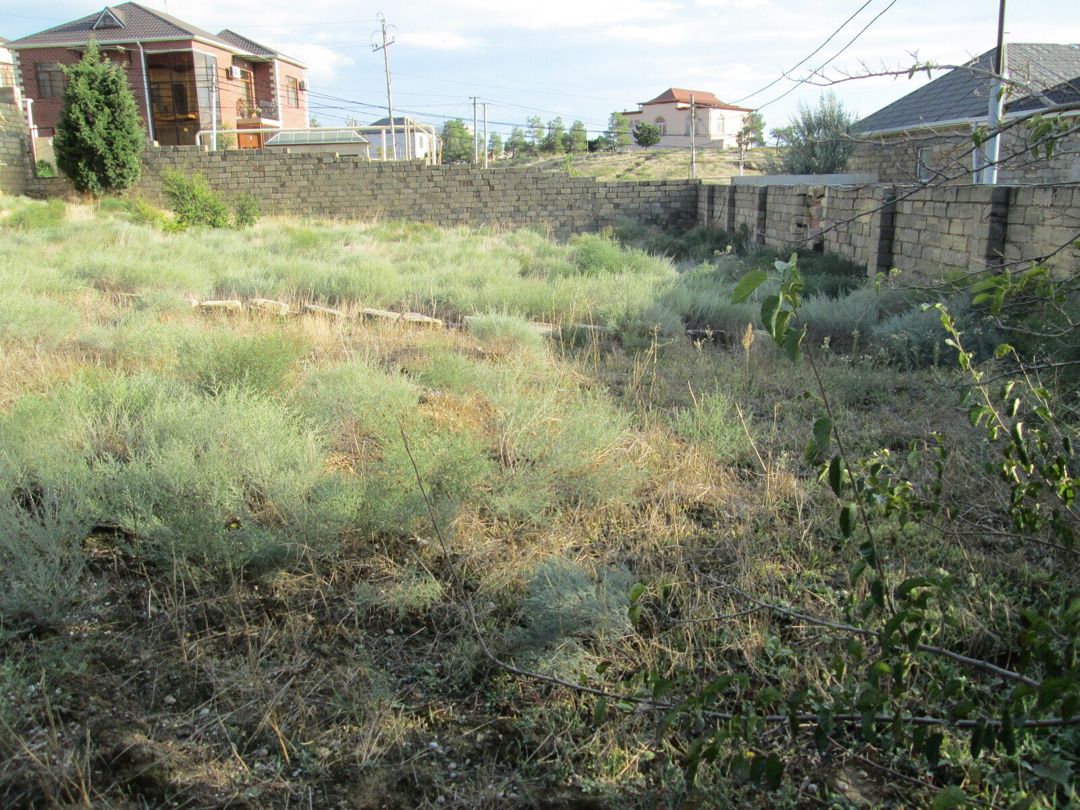 Satılır torpaq 9 sot — Torpaq, Bakı (5)