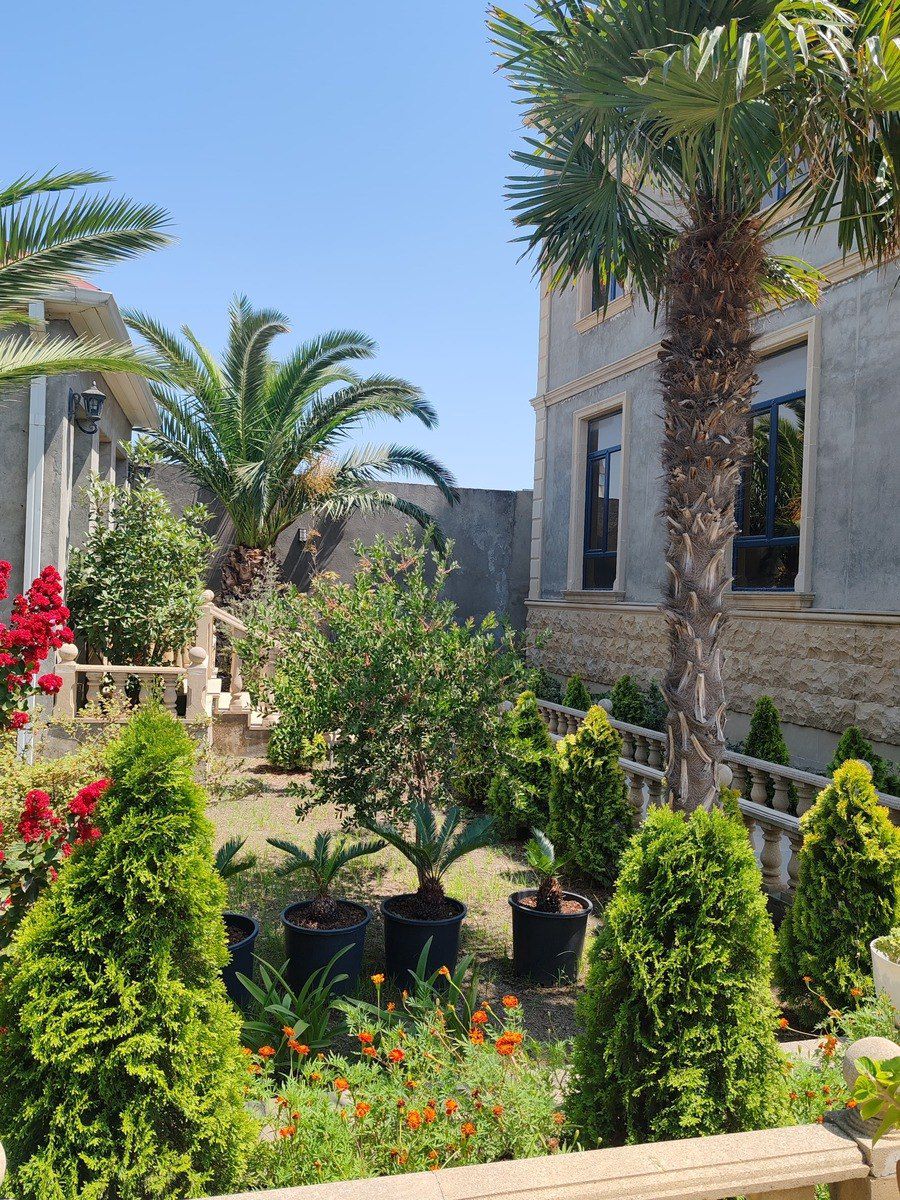 Satılır 7 otaqlı həyət evi/bağ evi 390 m² — Ev, villa, Bakı (12)