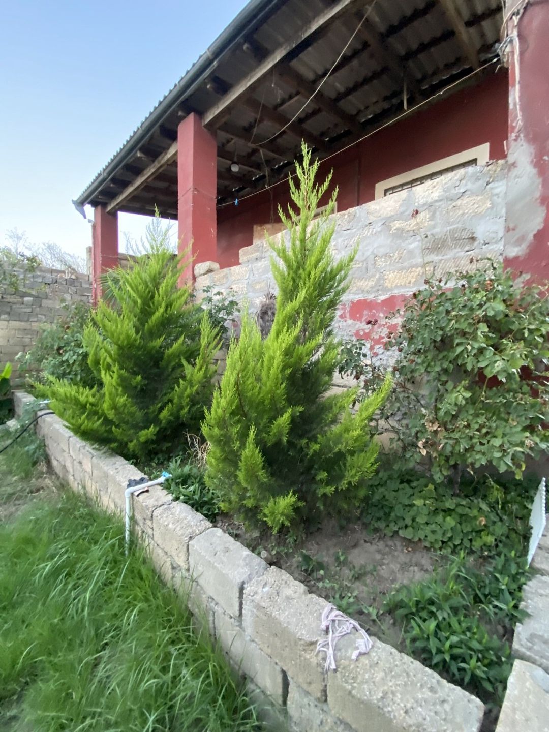 Satılır 3 otaqlı həyət evi/bağ evi 110 m² — Ev, villa, Bakı (11)