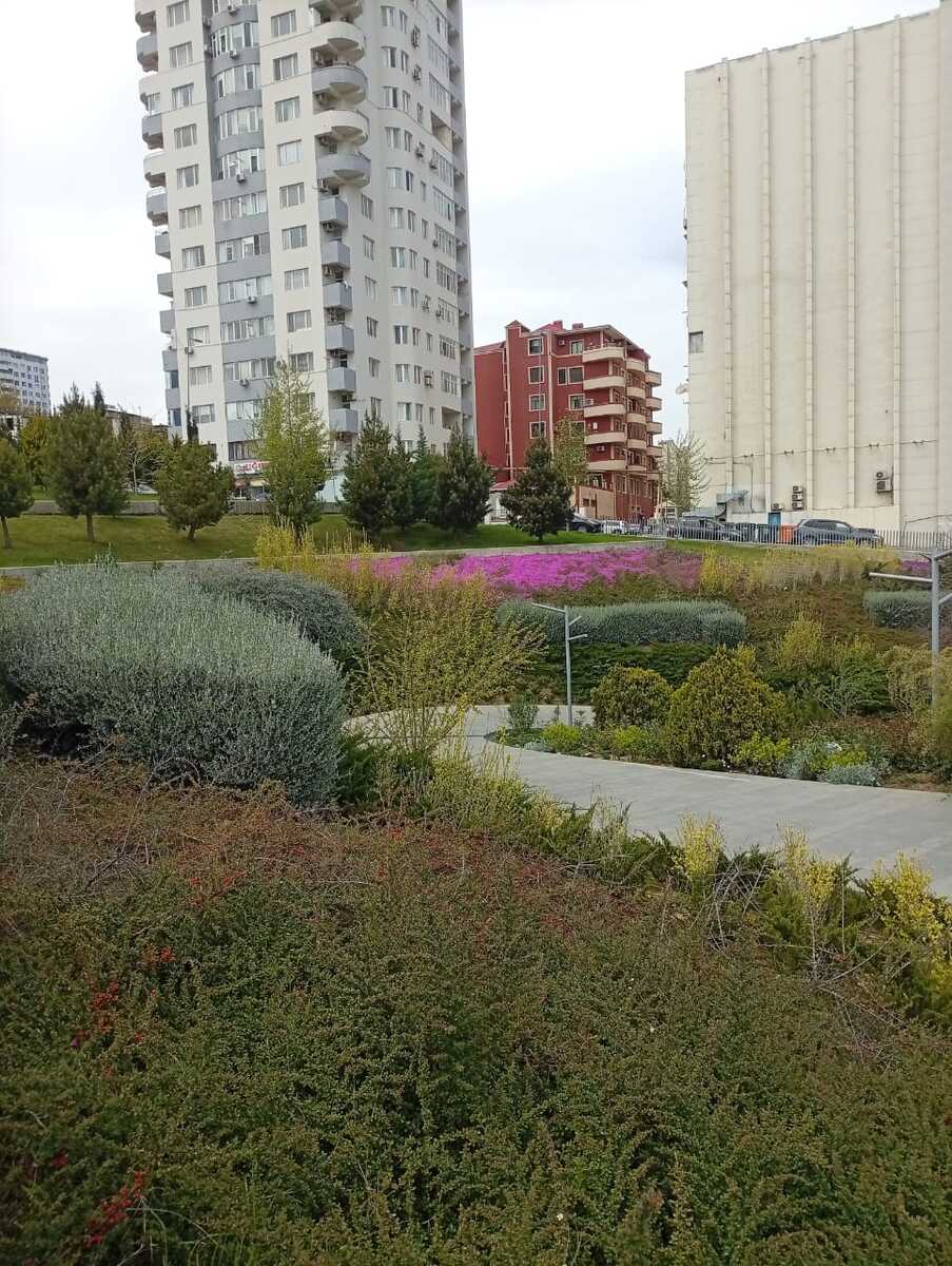 Satılır 2 otaqlı yeni tikili 65 m² — Mənzil, Bakı (2)