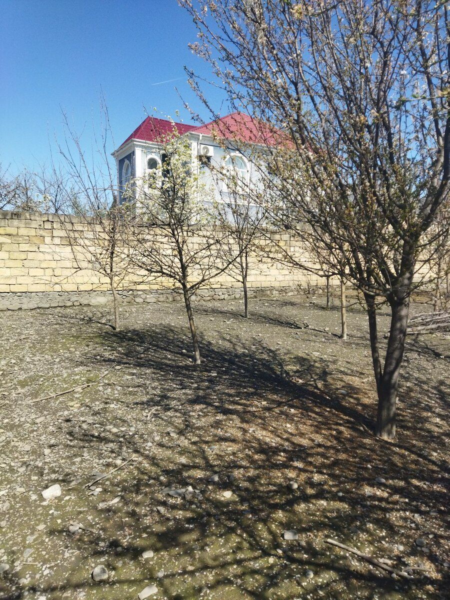 5 sot torpaq sahəsi, Qəbələ ş — Torpaq, Qəbələ (10)