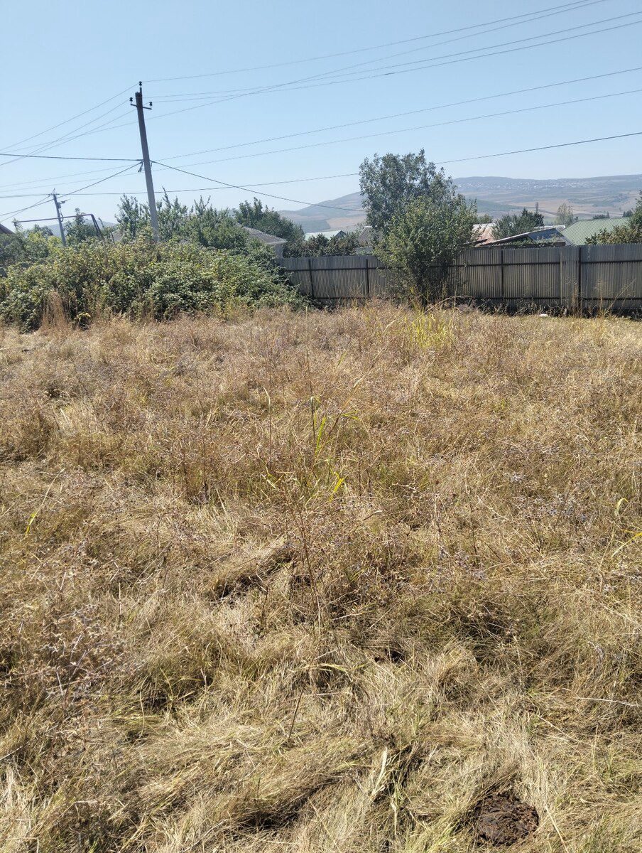 6 sot torpaq sahəsi, İsmayıllı r — Torpaq, İsmayıllı (3)