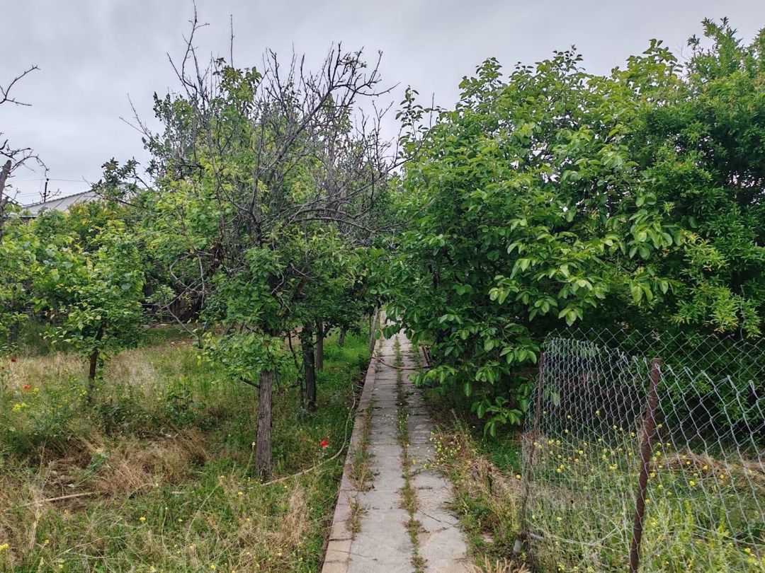 22 sot torpaq sahəsi, Novxanı qəs — Torpaq, Bakı (11)