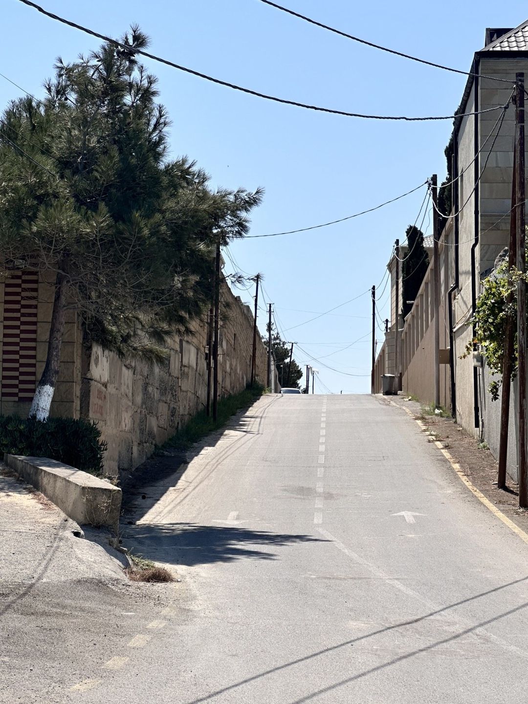 Satılır torpaq 7 sot — Torpaq, Bakı (3)