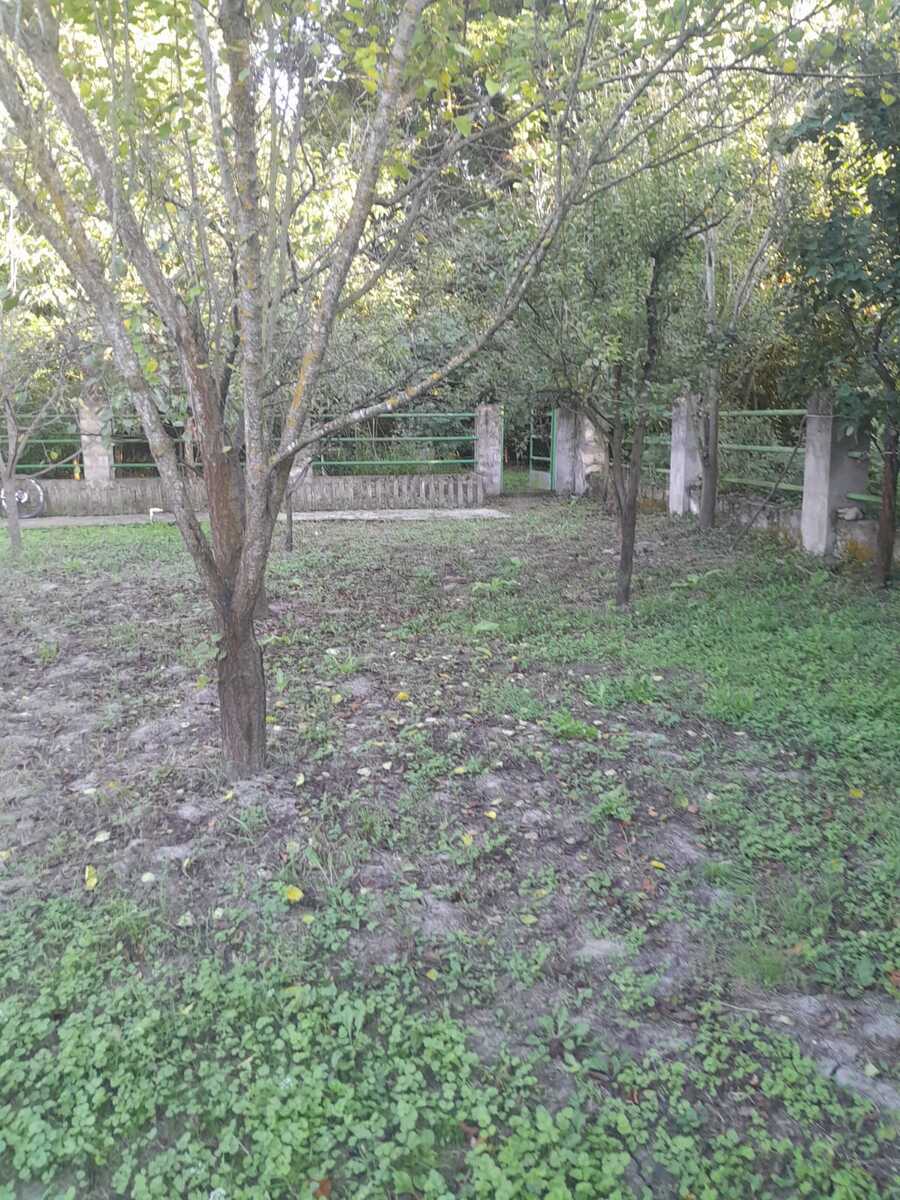 Bağ evi, Nabran r — Ev, villa (4)