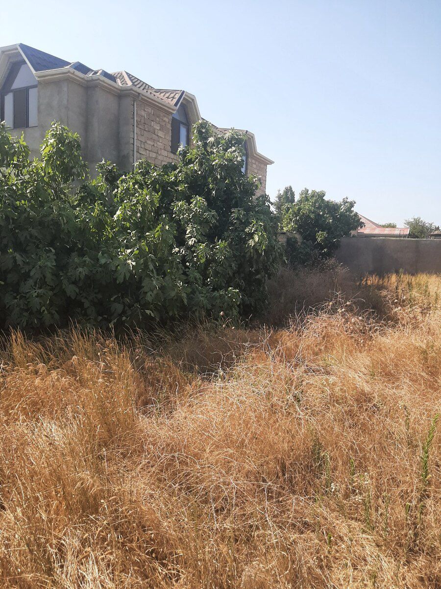 4.5 sot torpaq sahəsi, Maştağa qəs — Torpaq, Bakı (2)