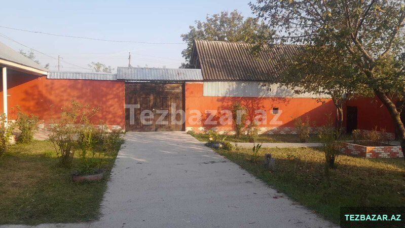 Real alıcılar zeng etsin — Ev, villa, Qəbələ (9)