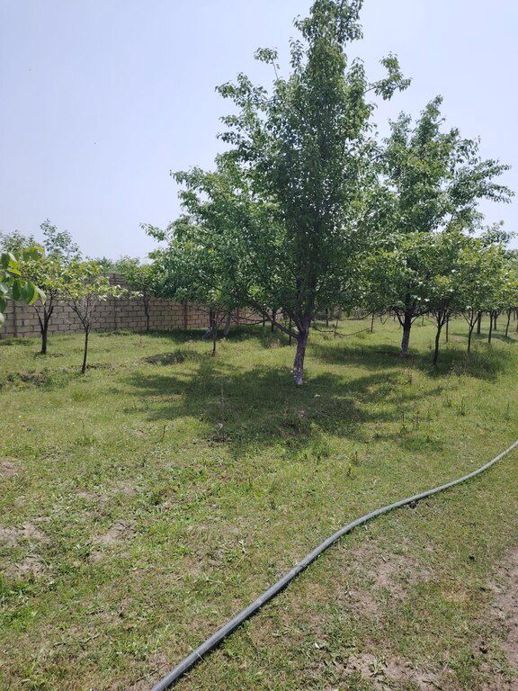 11.5 sot torpaq sahəsi, Bərdə r — Torpaq, Bərdə