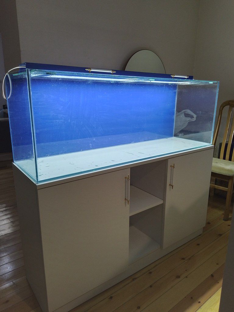 Akvarium və altlığı — Akvariumlar və balıqlar, Bakı