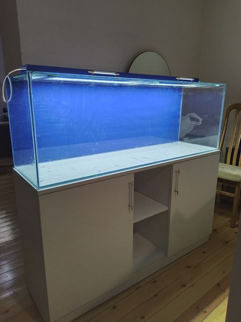 Akvarium və altlığı — Bakı