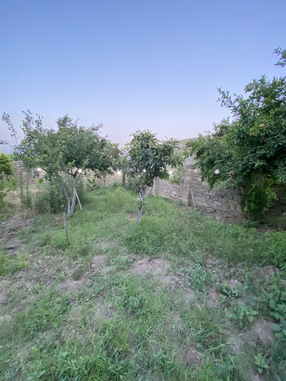 Satılır 3 otaqlı həyət evi/bağ evi 110 m² — Ev, villa, Bakı (10)
