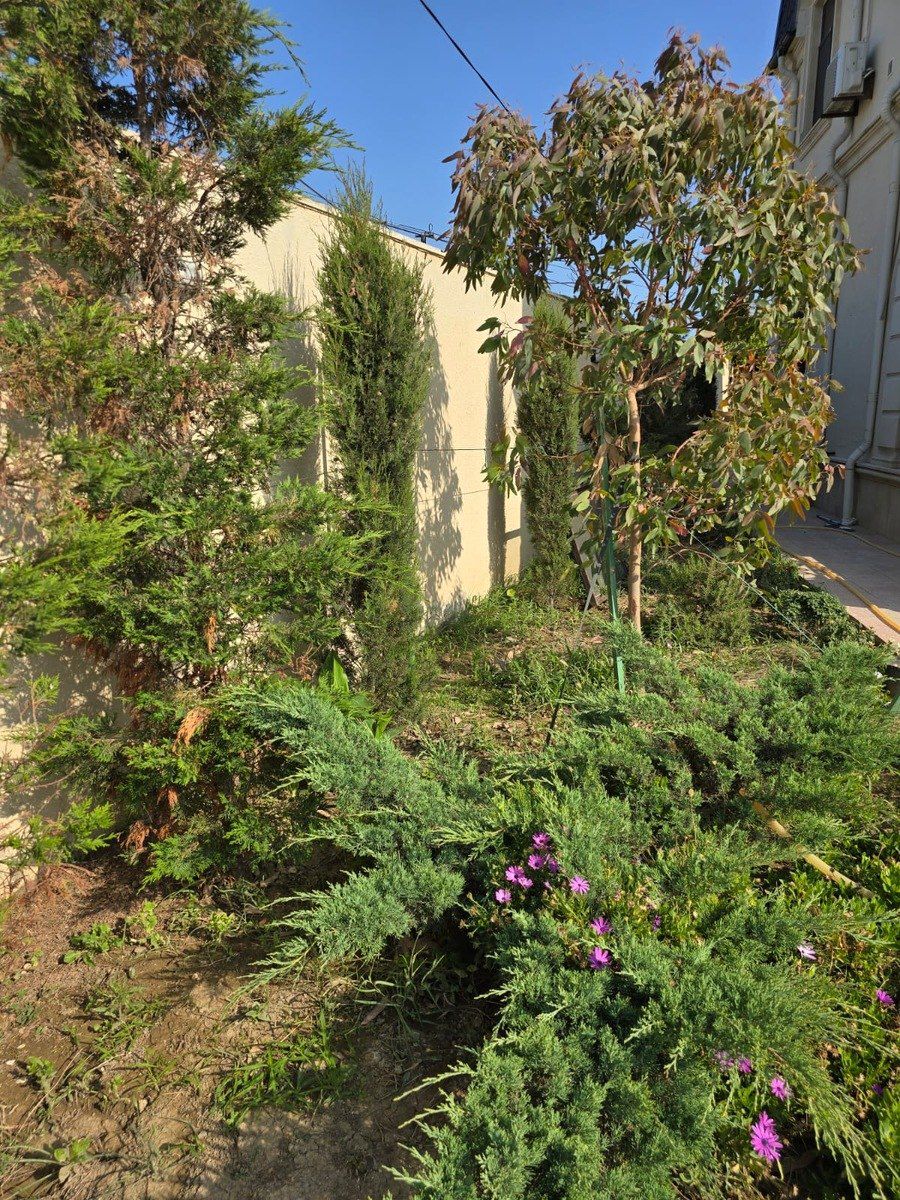 İcarəyə verilir 4 otaqlı həyət evi/bağ evi 300 m² — Ev, villa, Bakı (4)