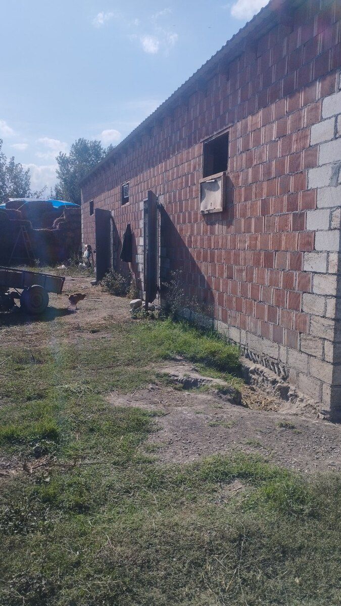 5 sot torpaq sahəsi, Xaçmaz r — Torpaq, Xaçmaz (12)