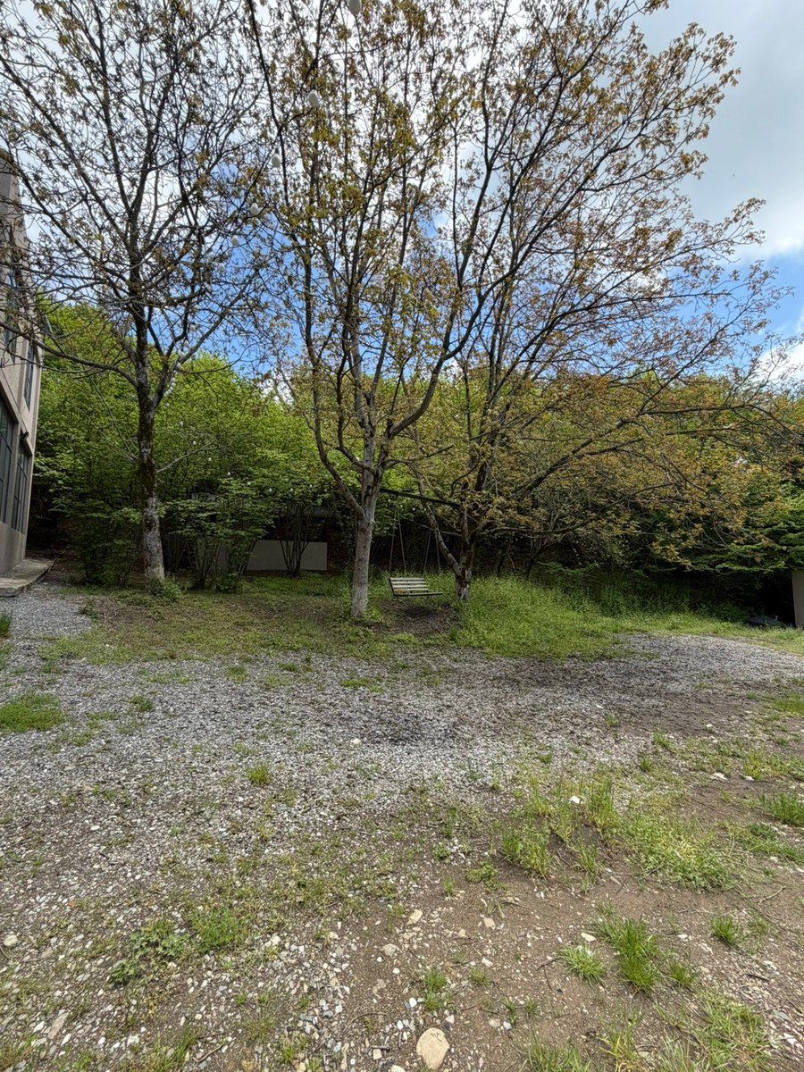 Bağ evi kirayə verilir, İsmayıllı r — Ev, villa, İsmayıllı (8)