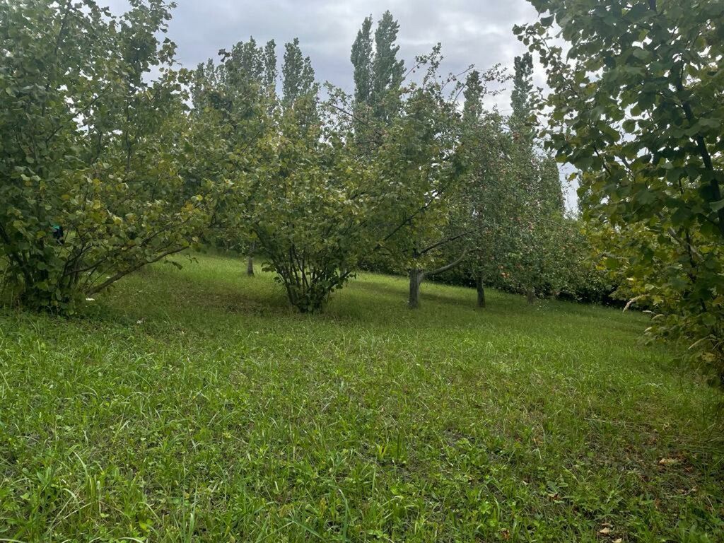24 sot torpaq sahəsi, Qusar r — Torpaq, Qusar (7)