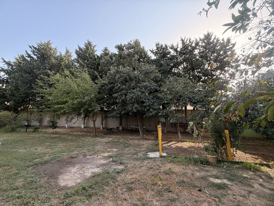 Satılır torpaq 15 sot — Torpaq, Bakı (7)
