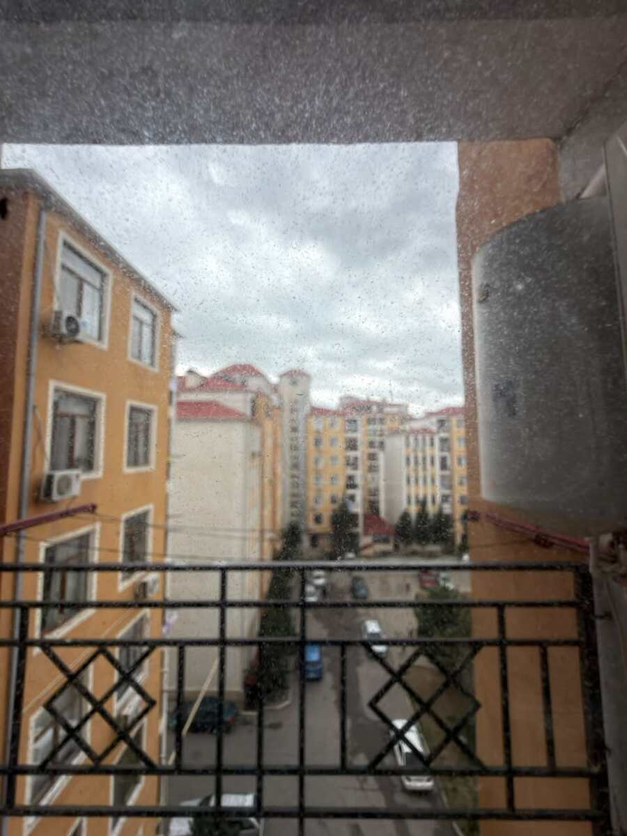 Satılır 2 otaqlı yeni tikili 72 m² — Mənzil, Bakı (9)