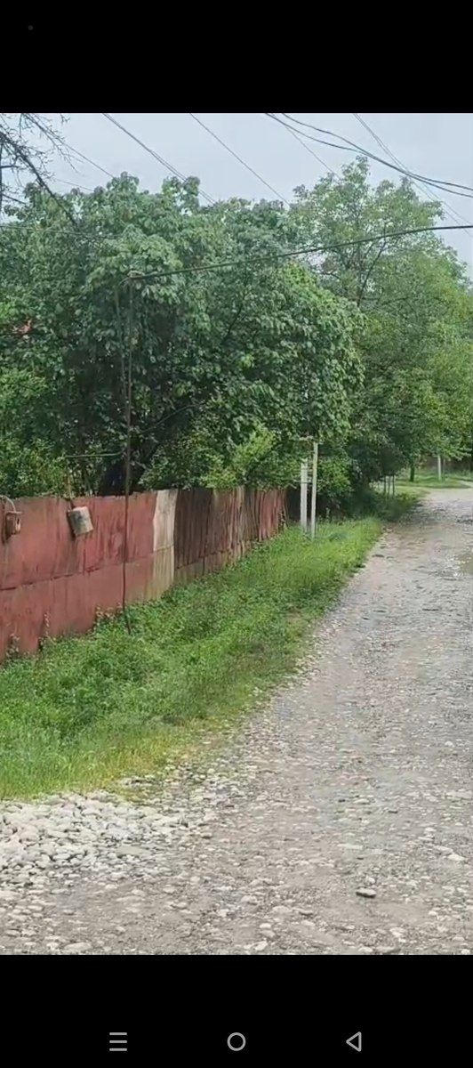 8 sot torpaq sahəsi, Quba r — Torpaq, Quba (6)