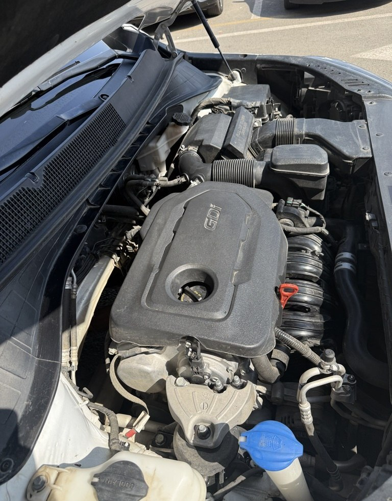 Kia Sorento, 2018 il, 133415 km, 2.4 L 88-DU-320 — Avtomobillər, Cəlilabad (11)