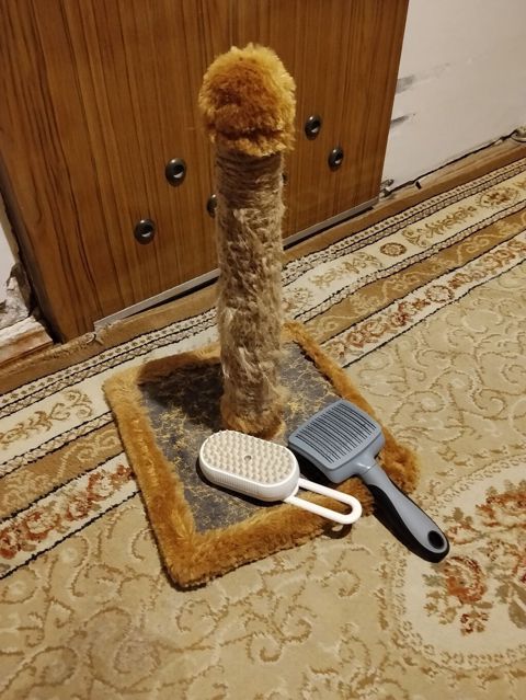 Pişik üçün komplekt: - Dırmaşma və dırnaq itiləmə dirəyi: kvadrat — 10 ₼ · Bakı · Digər Pişik üçün komplekt: - Dırmaşma və dırnaq itiləmə dirəyi: kvadrat — Bakı