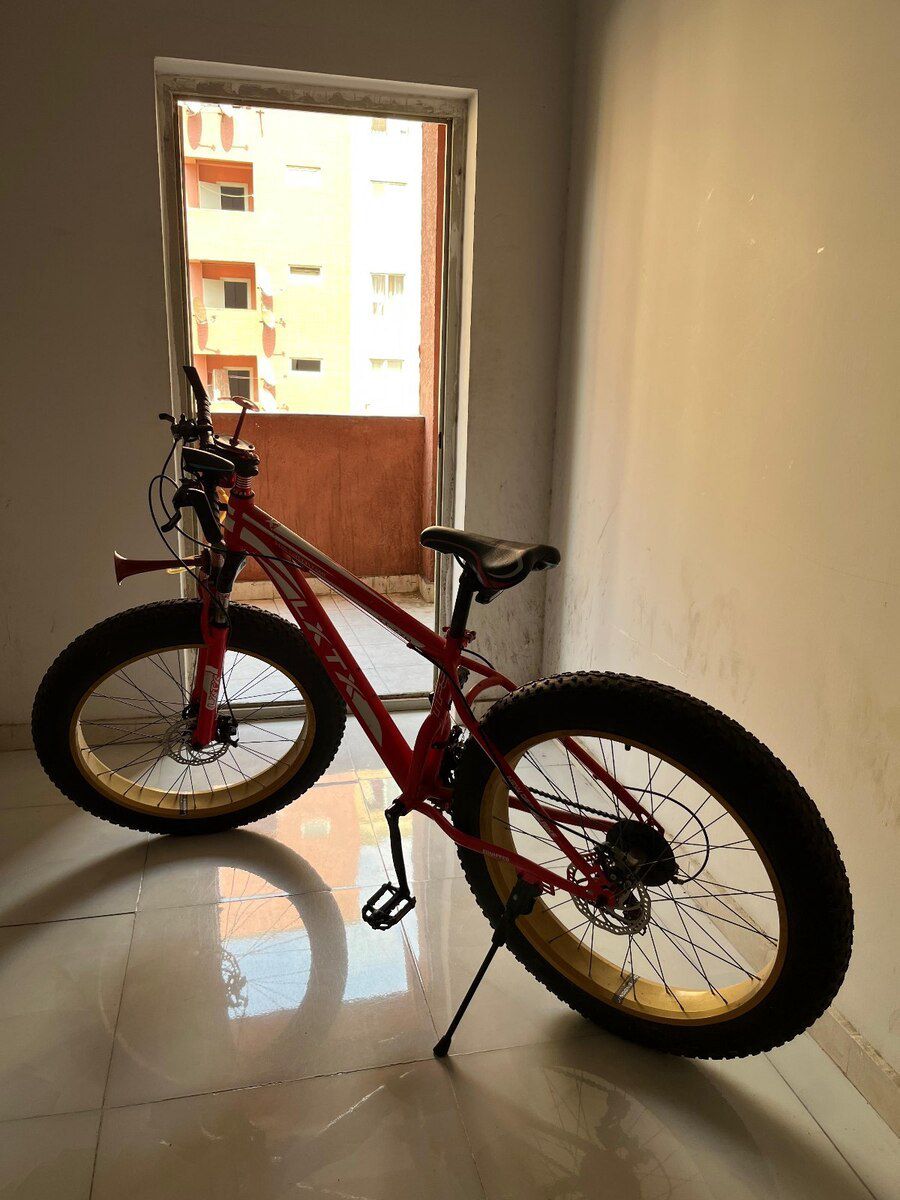 Velosiped — Velosipedlər, Bakı (3)