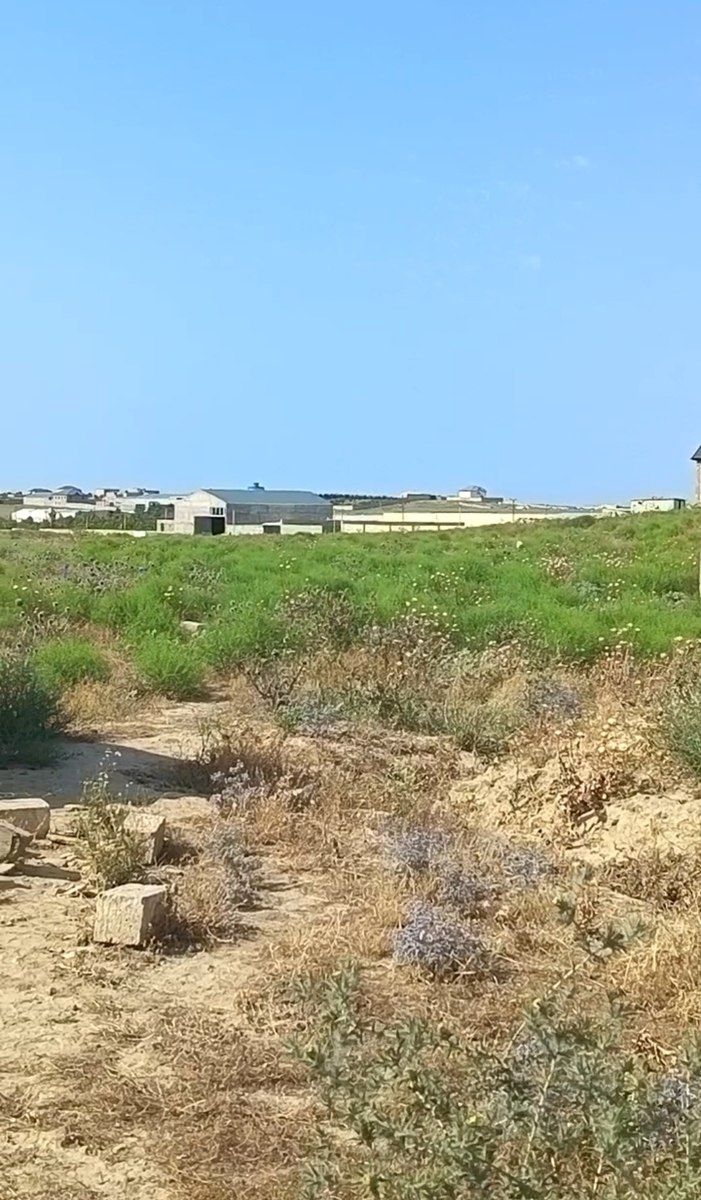 Satılır torpaq 600 sot — Torpaq, Bakı (5)