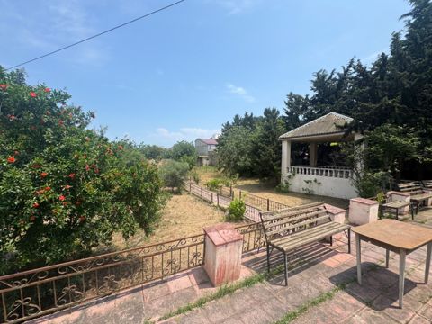 14 sot torpaq sahəsi, Bilgəh qəs — Bakı