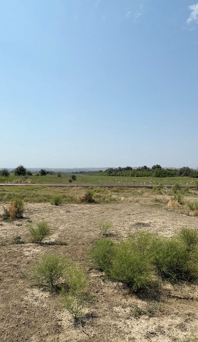 78000 sot torpaq sahəsi, Yevlax r — Torpaq, Yevlax (7)