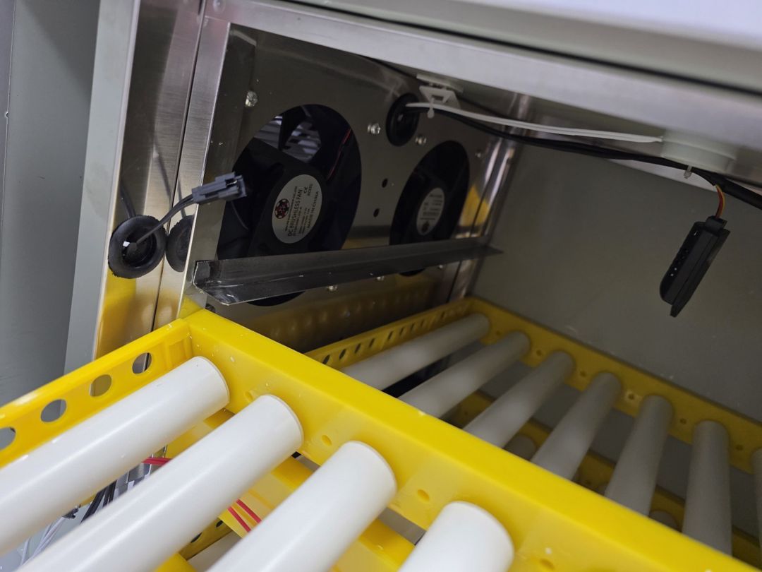 Professional inkubator — Biznes və avadanlıq, Bakı (11)