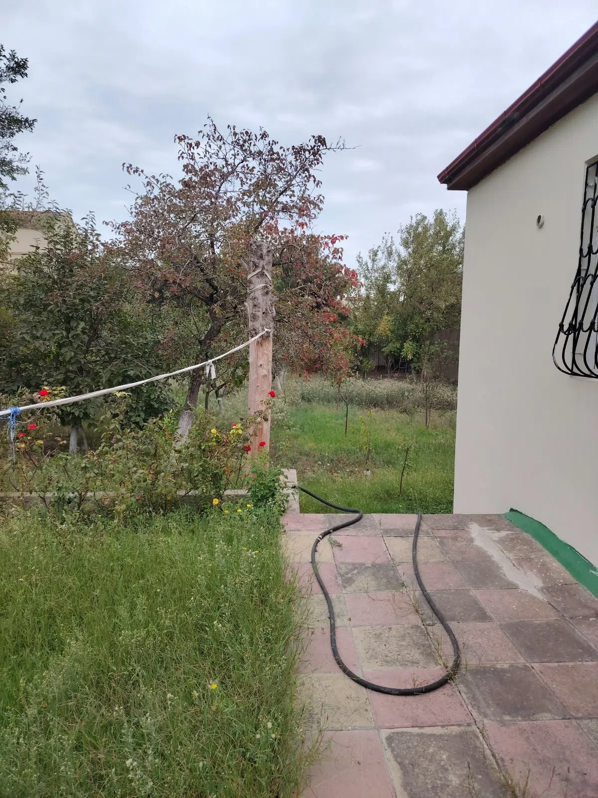 15 sot torpaq sahəsi satılır — Torpaq, Bakı (10)