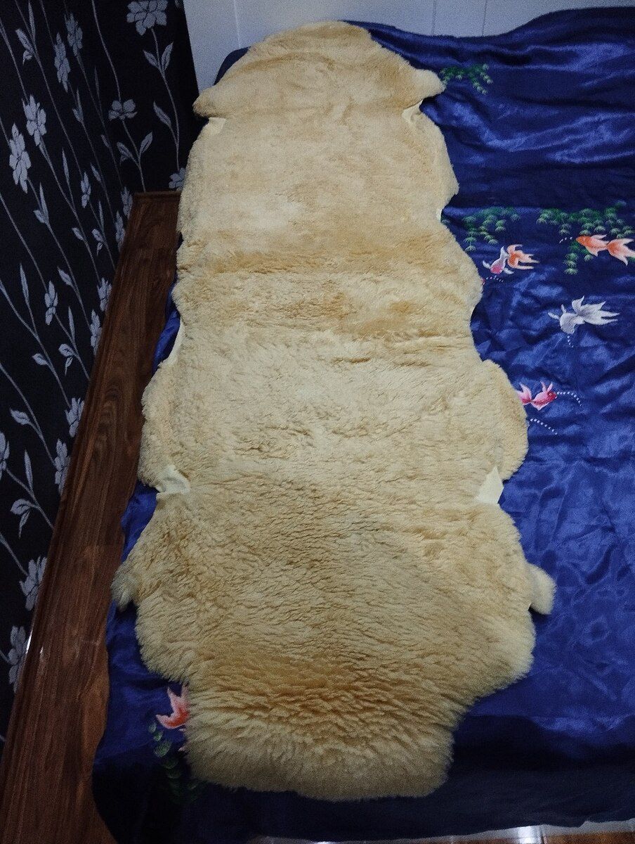 Merinos dərisi — Tekstil, Bakı