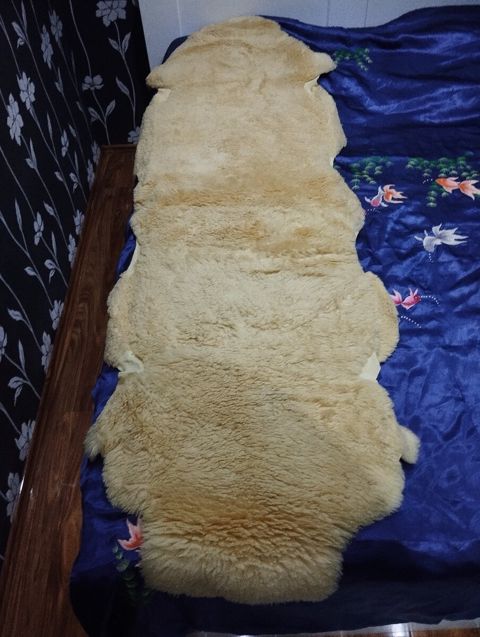 Merinos dərisi — Bakı