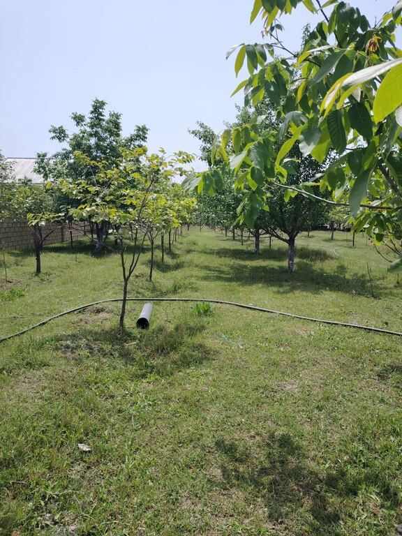 11.5 sot torpaq sahəsi, Bərdə r — Torpaq, Bərdə (4)