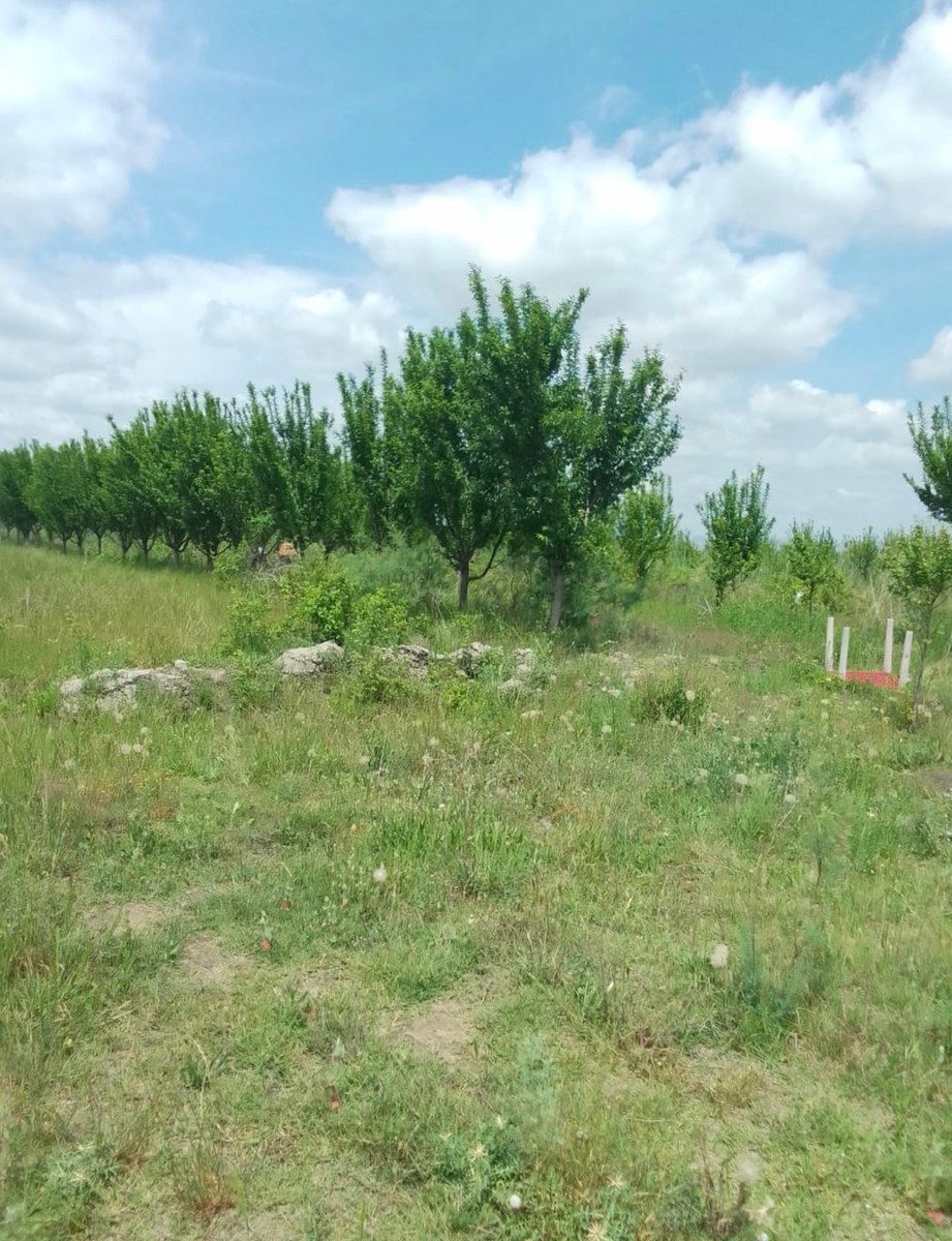 2000 sot torpaq sahəsi, Ağdaş r — Torpaq, Bakı (3)