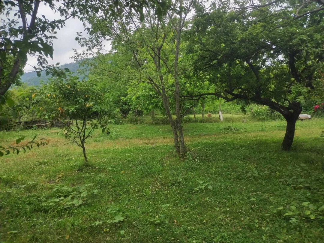 Satılır 3 otaqlı həyət evi/bağ evi 90 m² — Ev, villa, Qəbələ (5)