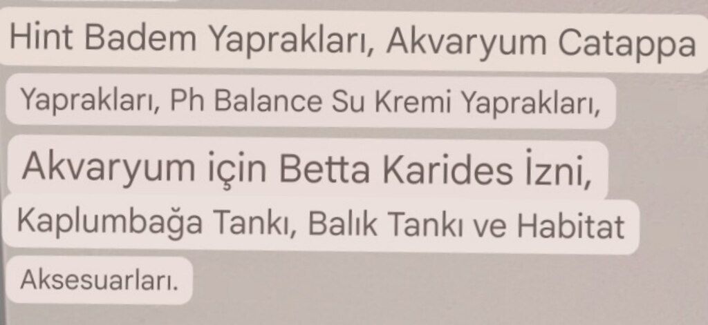 Catappa yarpaqları AAA klass — Akvariumlar və balıqlar, Bakı (2)