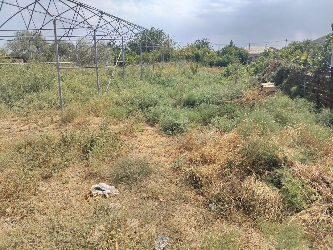 6 sot torpaq sahəsi, Sumqayıt ş — Torpaq, Sumqayıt (8)