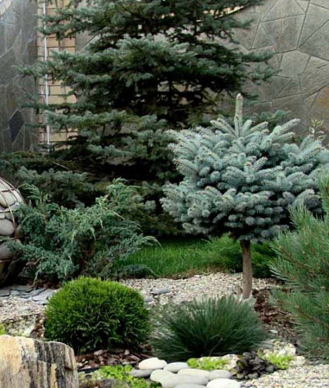 Landşaft dizayn işləri — Təmir və inşaat, Bakı