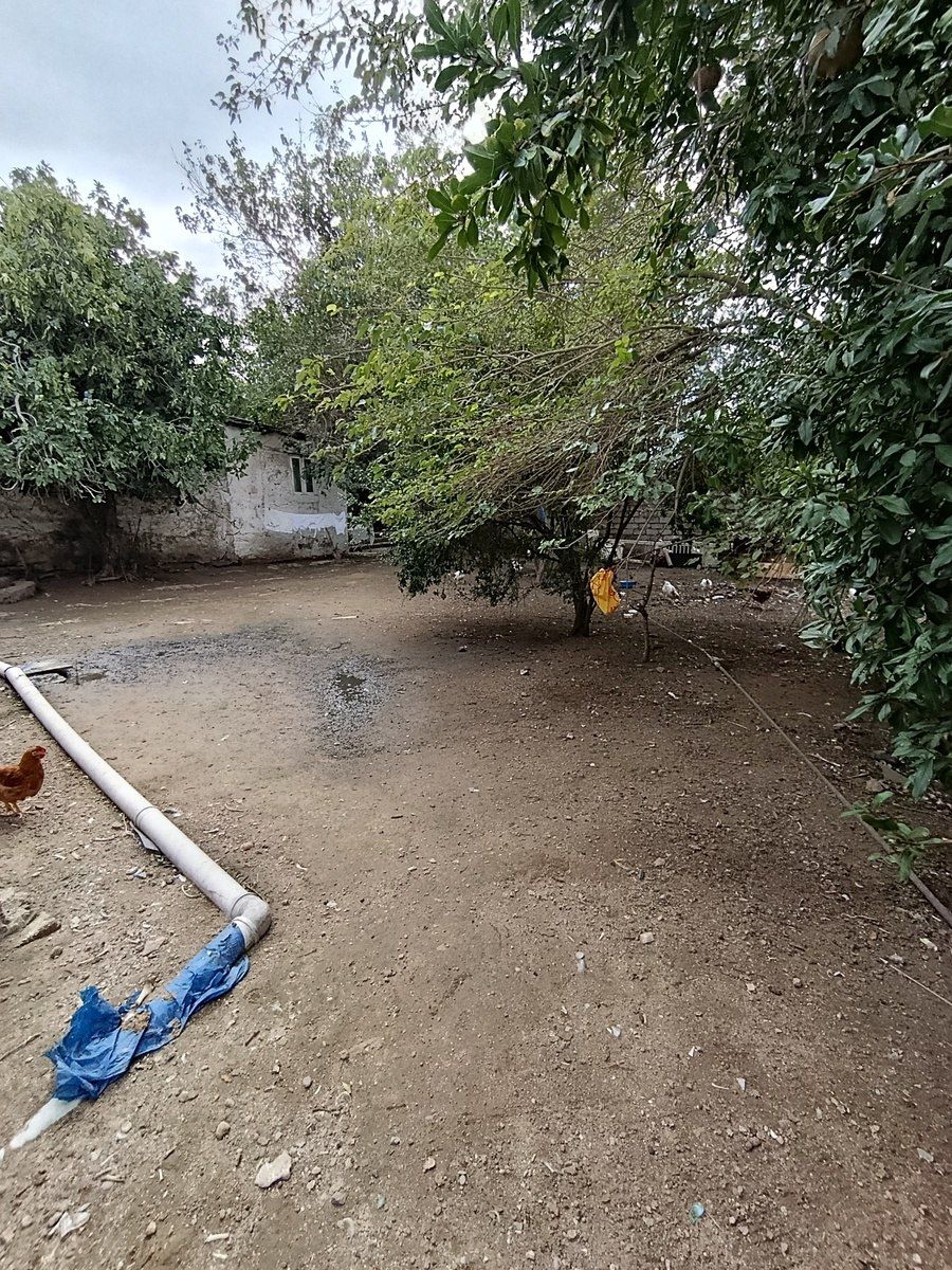 Satılır torpaq 6 sot — Torpaq, Bakı (3)